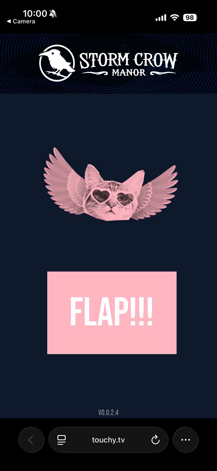 Phone controlling Flappy Cat